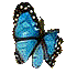 fly