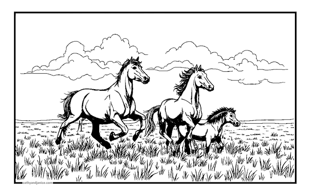 3 FREERANGE HORSES