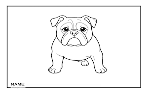 BULLDOG