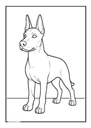 DOBBIE