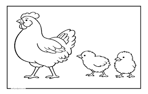 HENCHICKS