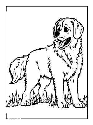 SAINTBERNARD