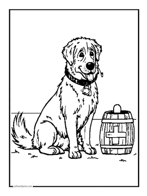 STBERNARD