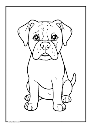 dogs/BOXER