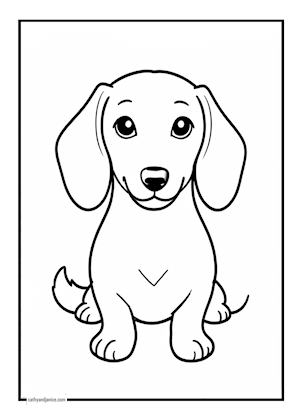 Animal 1