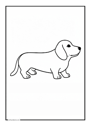 Dachshund2