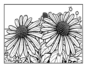 ConeFlower