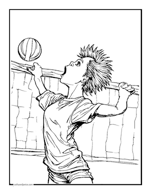 VOLLEYBALL