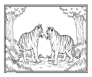 2TIGERS