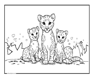 3LEOPARDS