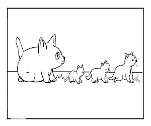 CATS