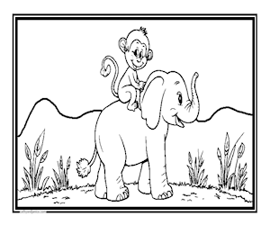 MONKEYONELEPHANT
