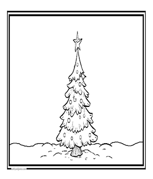 THELONELYTREE