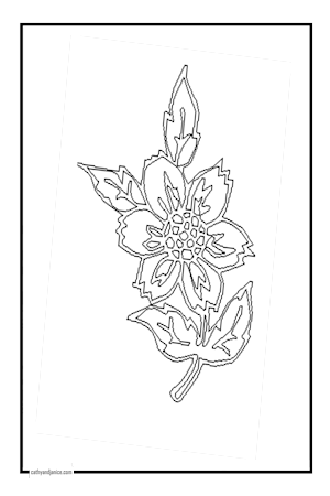 ANEMONE2