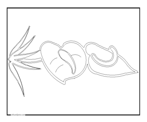 Anthurium