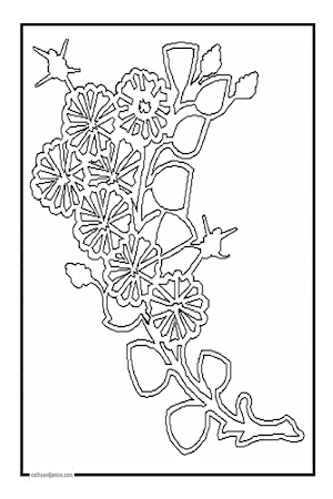 COLOR10