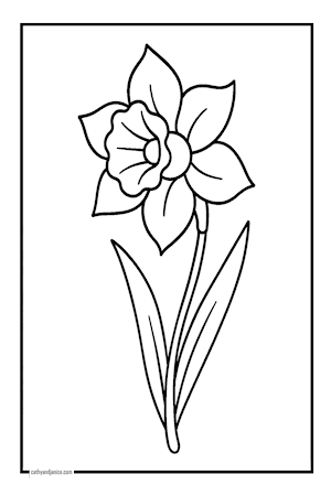 DAFF
