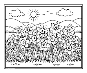 DAFFODILGARDEN