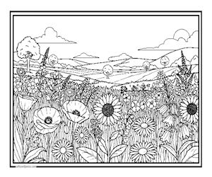 FIELDOFWONDER