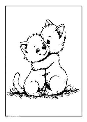 HUGGYCATS