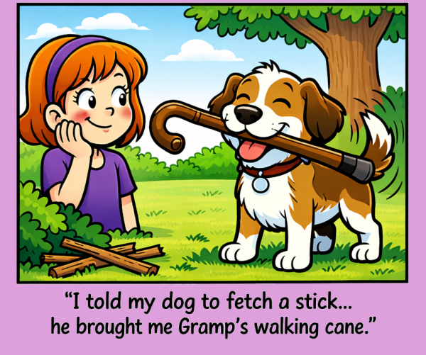 Funnies-29