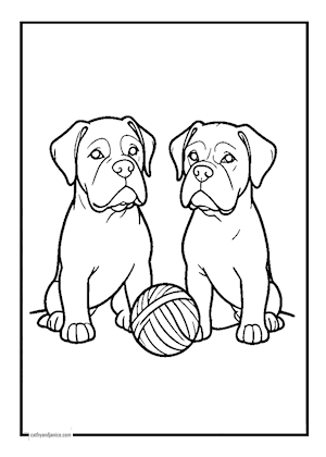 dogs/BOXER2